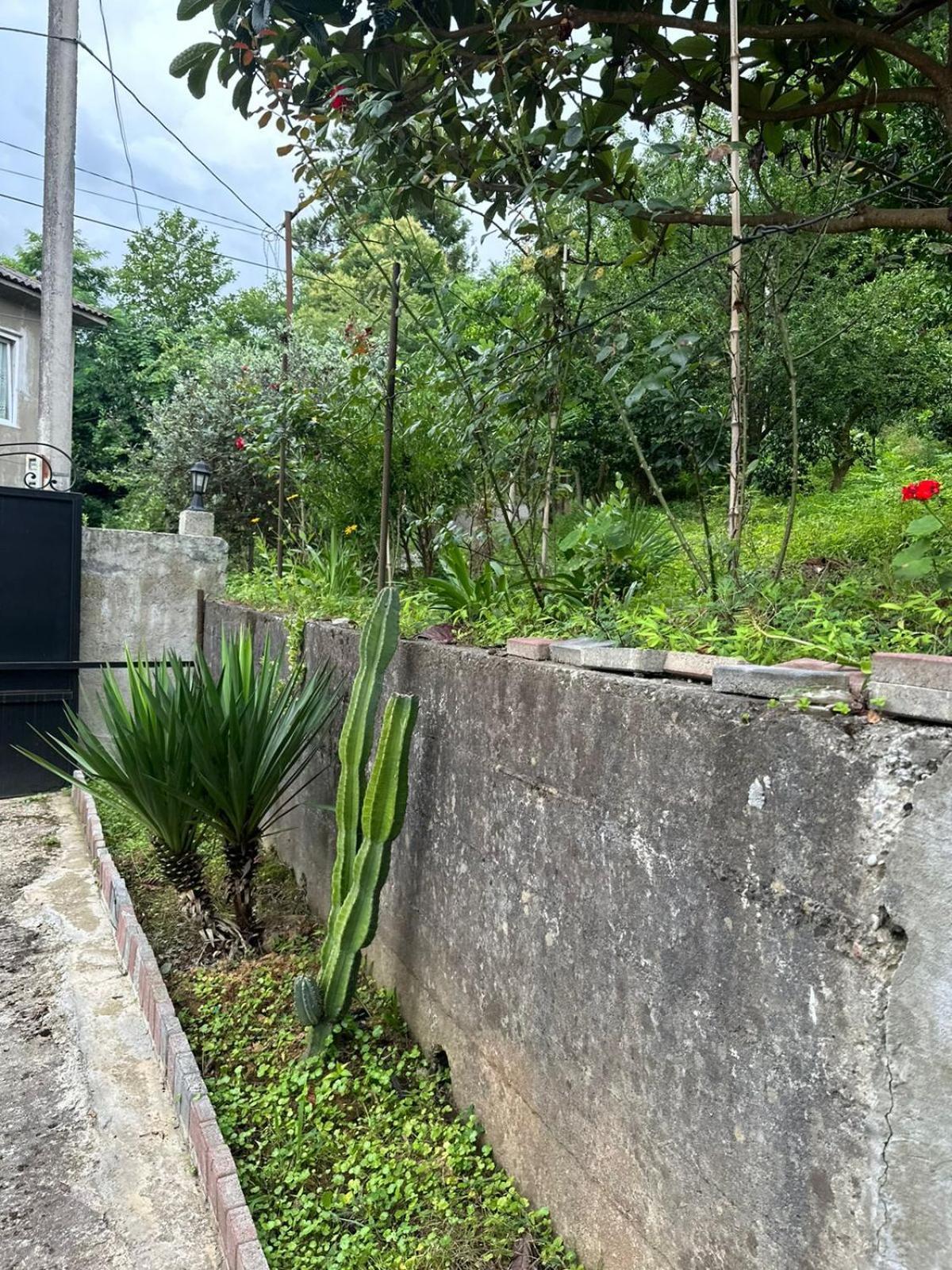 Shamil House Guest House Makhinjauri Exterior photo