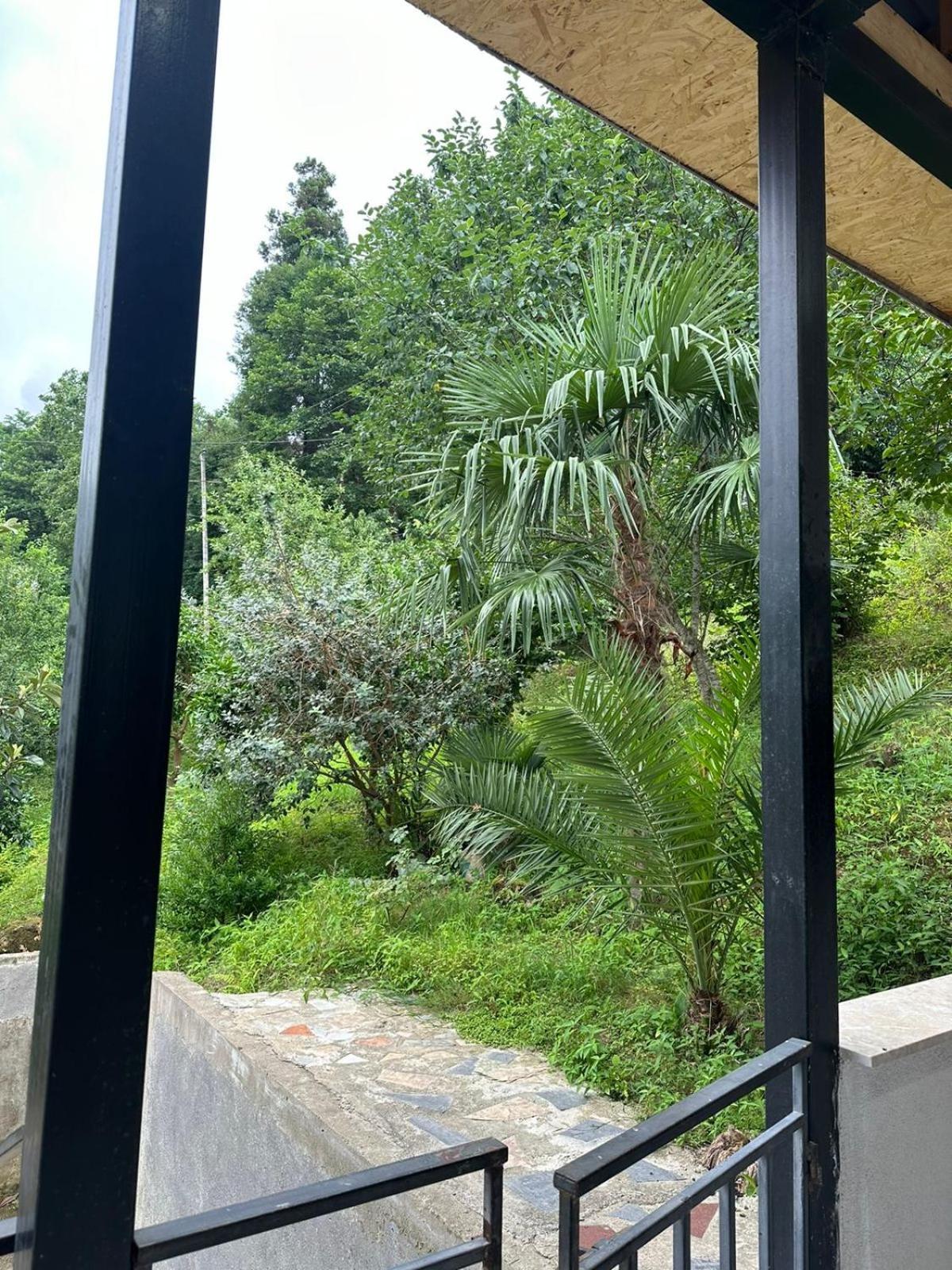 Shamil House Guest House Makhinjauri Exterior photo